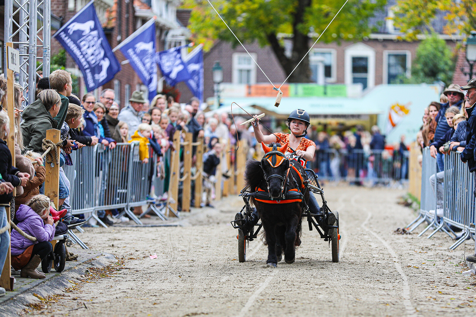 Paardenmarkt Ameide bron Rick den Besten KMP